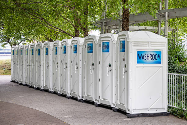 Best Best portable toilet rental  in Lake Hallie, WI